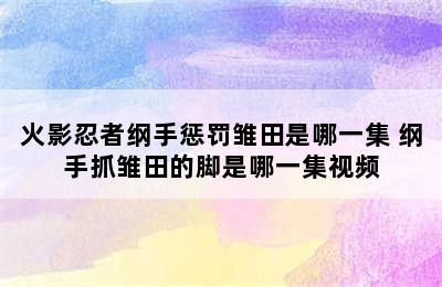 火影忍者纲手惩罚雏田是哪一集 纲手抓雏田的脚是哪一集视频